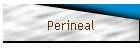 Perineal